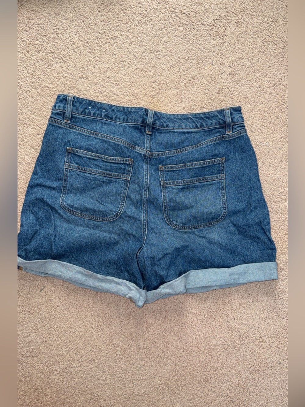 Lane Bryant Blue Cuffed Denim Shorts